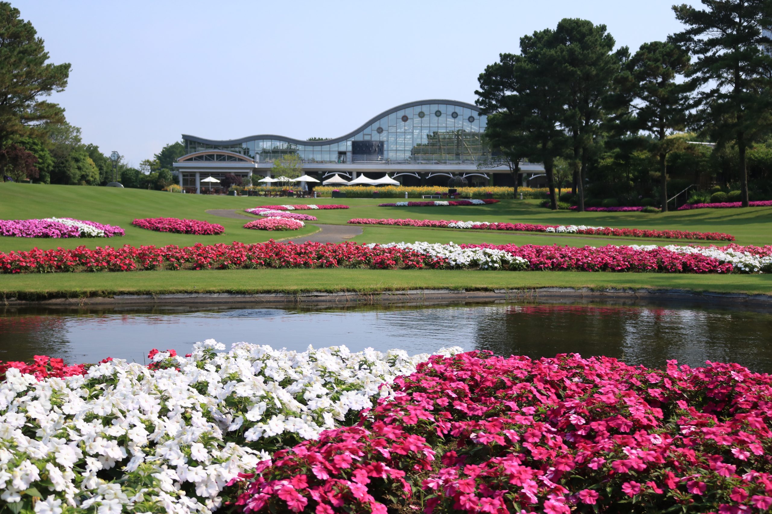 入園料 フローランテ宮崎 宮崎で遊ぼうクーポン 21